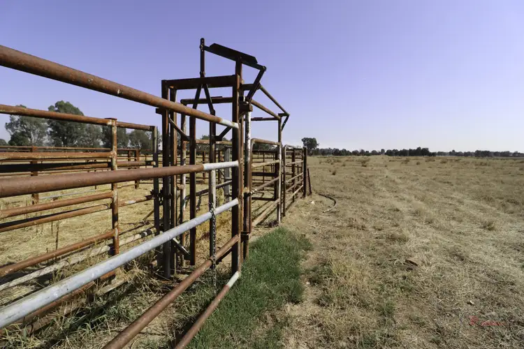 Fifth view of Homely rural property listing, LOT 1, 5 Pyles Lane, Wangaratta VIC 3677
