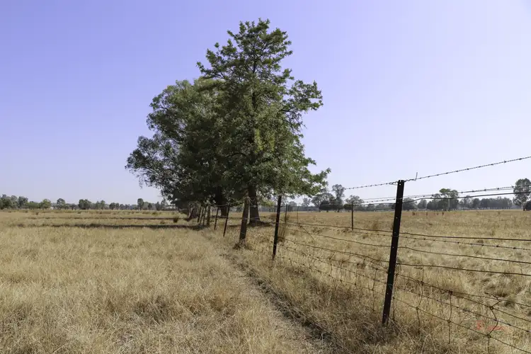 Seventh view of Homely rural property listing, LOT 1, 5 Pyles Lane, Wangaratta VIC 3677