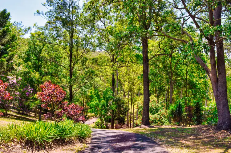 Fourth view of Homely house listing, 9-11 Bode Court, Witheren QLD 4275