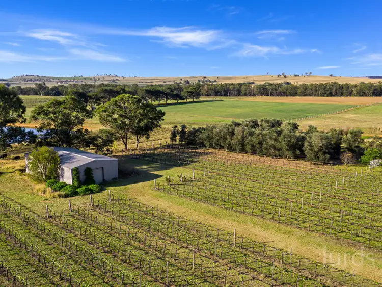 Second view of Homely rural property listing, 657A Milbrodale Road, Broke NSW 2330