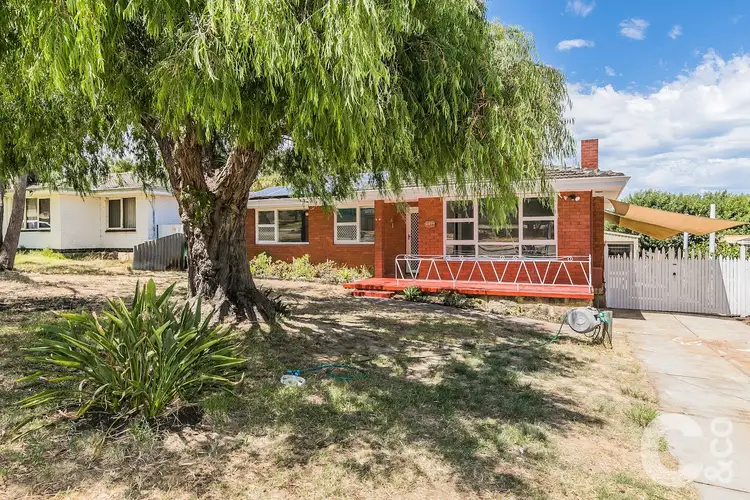 Second view of Homely house listing, 60 Christmas Avenue, Orelia WA 6167