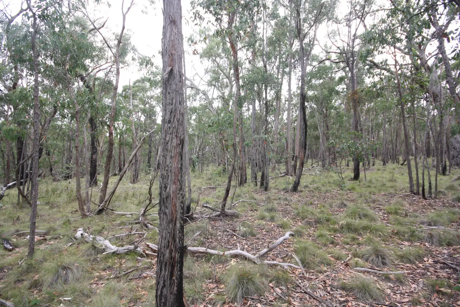 Main view of Homely land listing, LOT 15A Grassy Gully Road, Dereel VIC 3352