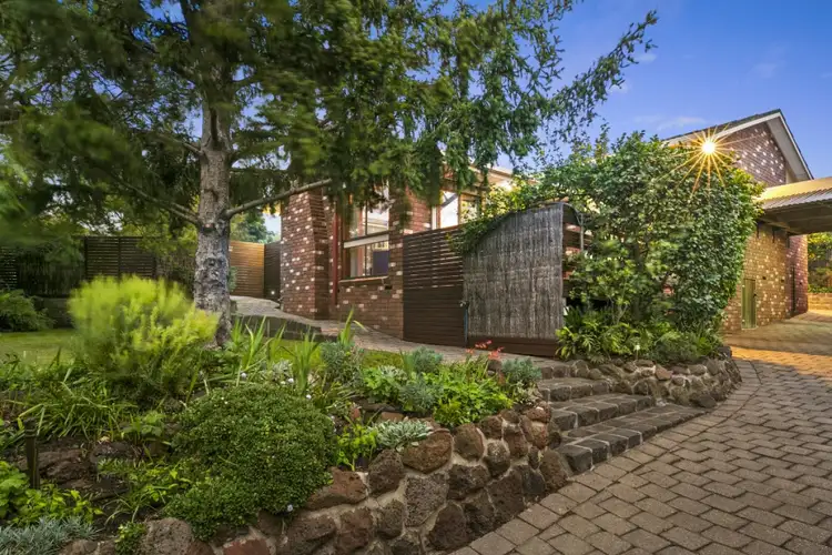 3 Taldra Court, Belmont VIC 3216