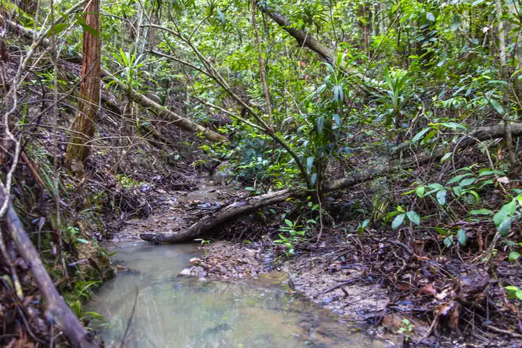 Second view of Homely land listing, 89 Tallgum Avenue, Verrierdale QLD 4562