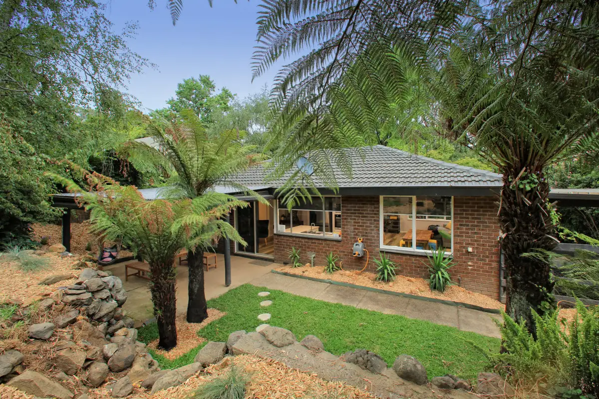 Main view of Homely house listing, 29 Wright Road, Avonsleigh VIC 3782