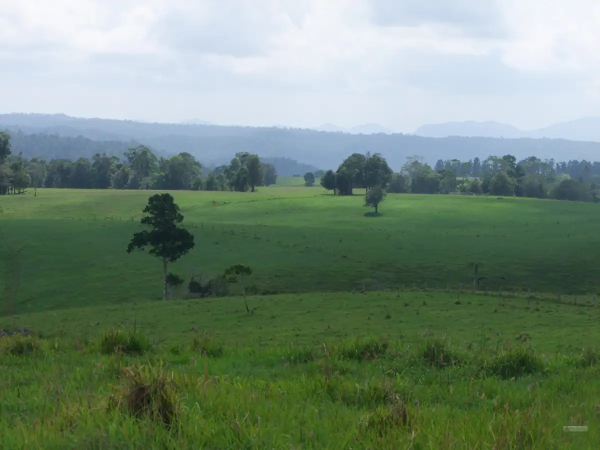 Main view of Homely rural property listing, Address available on request