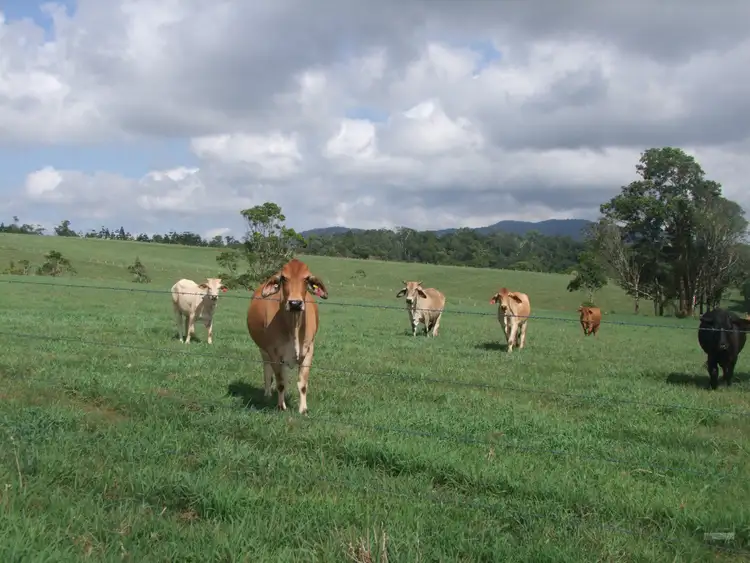 Fourth view of Homely rural property listing, Address available on request