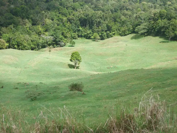 Fifth view of Homely rural property listing, Address available on request