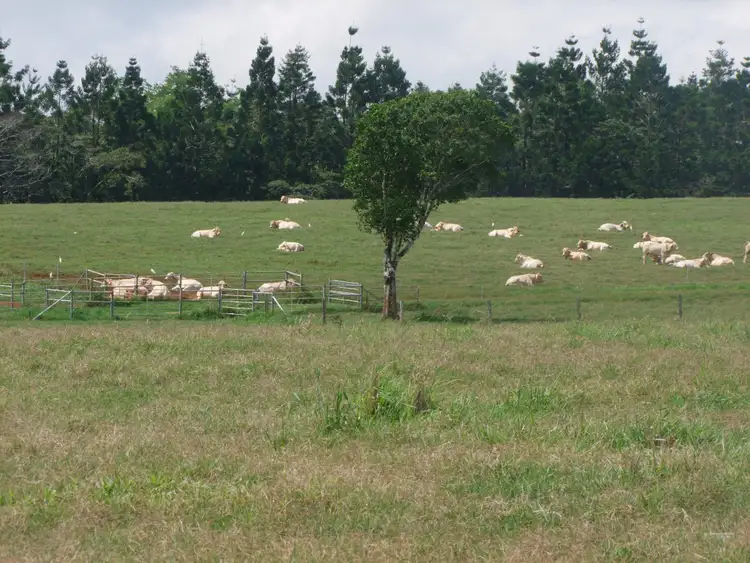 Sixth view of Homely rural property listing, Address available on request