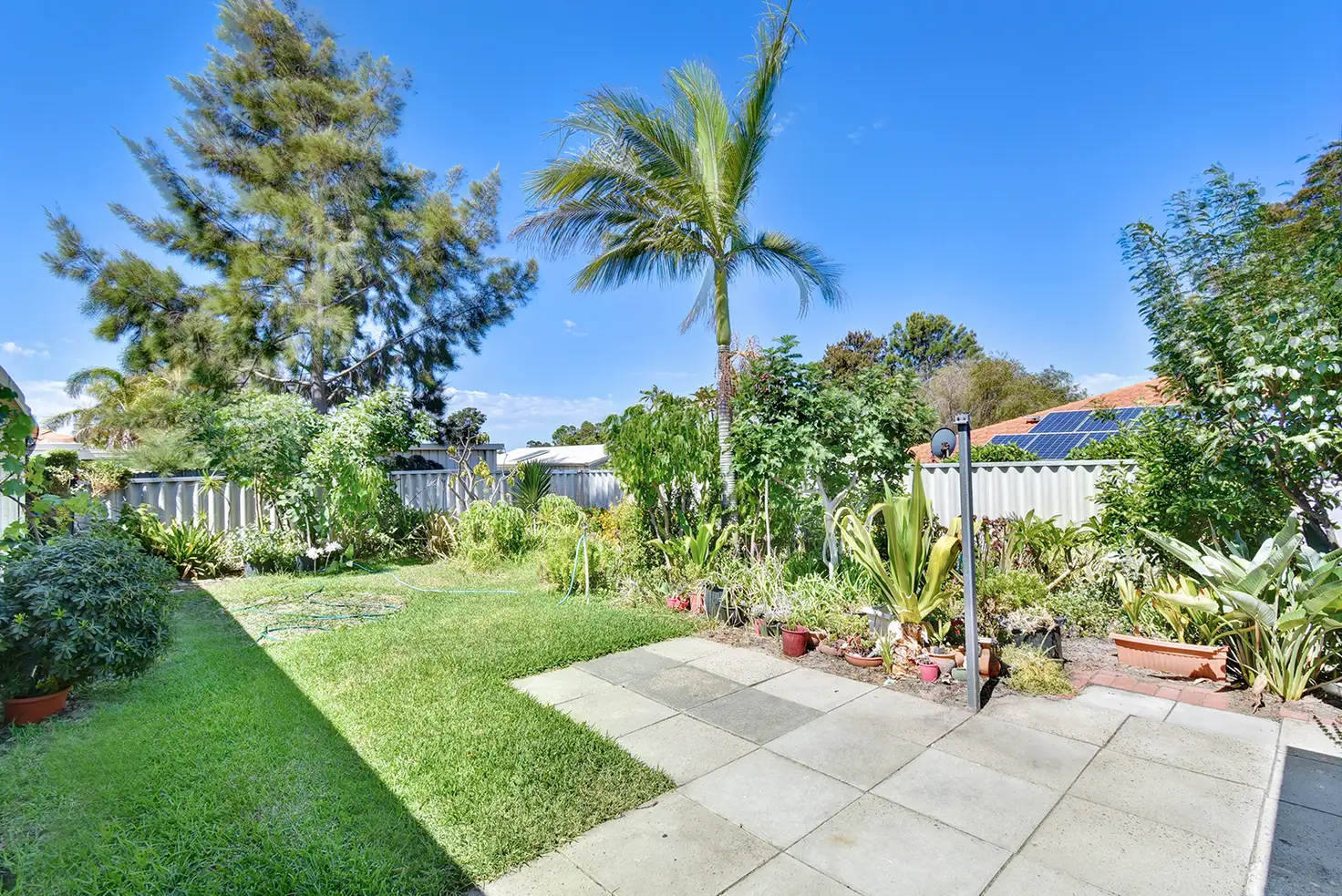 Main view of Homely house listing, 54 Viridian Drive, Banksia Grove WA 6031