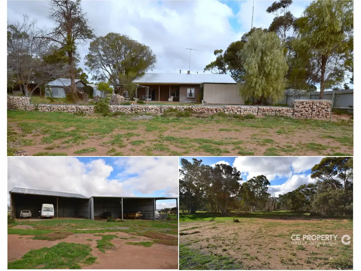 Main view of Homely rural property listing, 736 Black Hill Road, Cambrai SA 5353