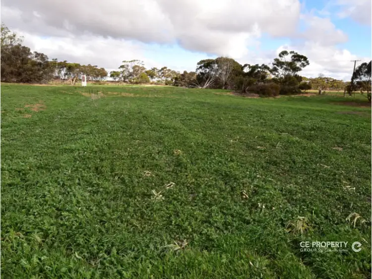 Third view of Homely rural property listing, 736 Black Hill Road, Cambrai SA 5353