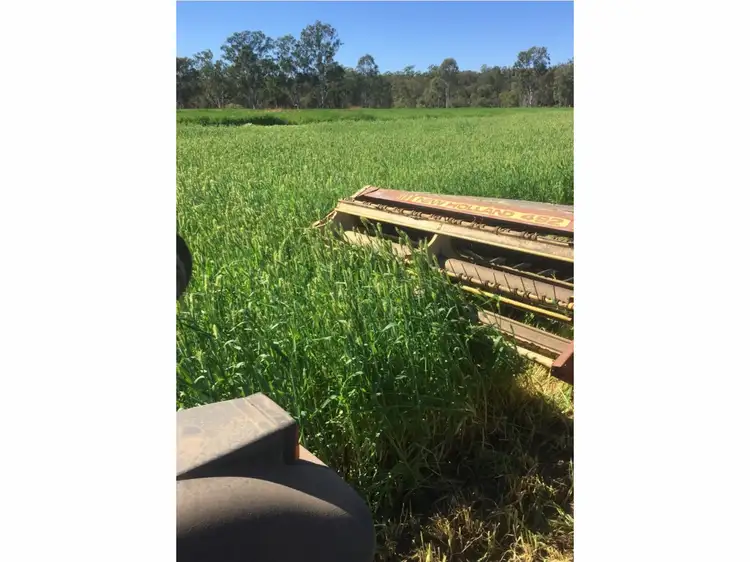 Third view of Homely rural property listing, 197 Brickworks Road, Bushley QLD 4702
