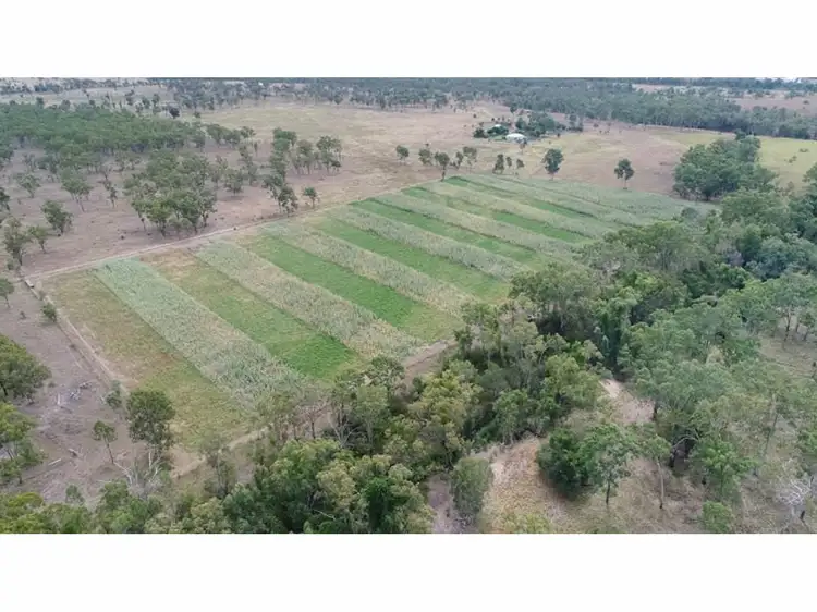 Seventh view of Homely rural property listing, 197 Brickworks Road, Bushley QLD 4702