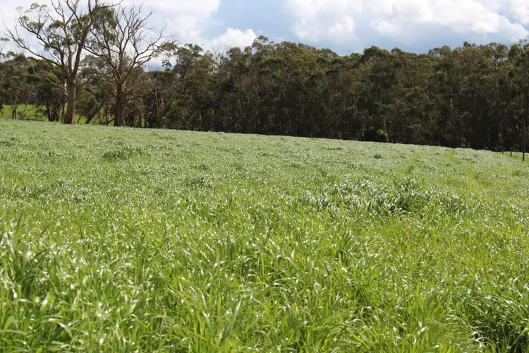 42 Floyds Road, Scotts Creek VIC 3267