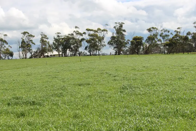 Second view of Homely rural property listing, 42 Floyds Road, Scotts Creek VIC 3267