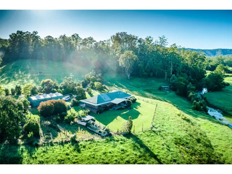 1600 Bowraville Road, Bellingen NSW 2454