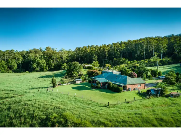 Second view of Homely rural property listing, 1600 Bowraville Road, Bellingen NSW 2454