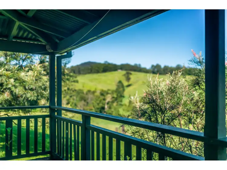 Fifth view of Homely rural property listing, 1600 Bowraville Road, Bellingen NSW 2454