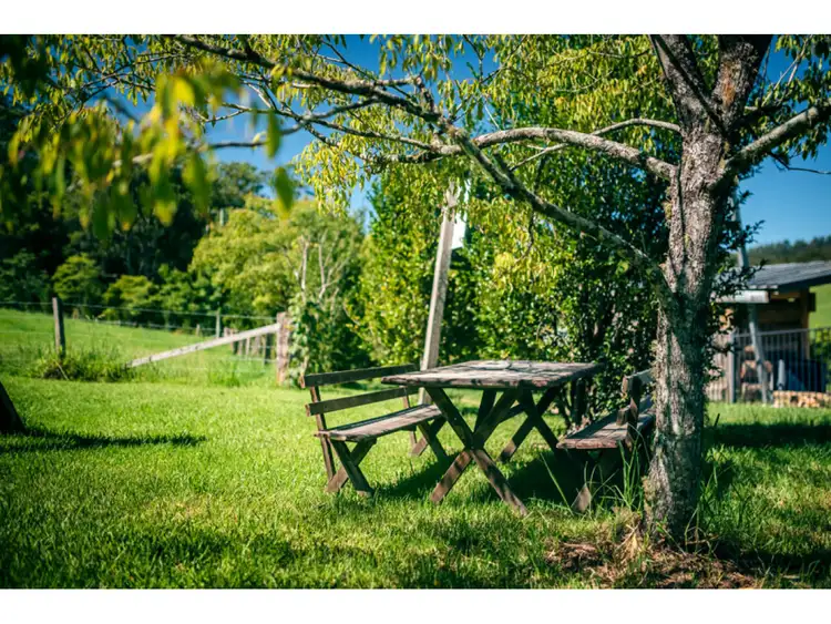 Sixth view of Homely rural property listing, 1600 Bowraville Road, Bellingen NSW 2454
