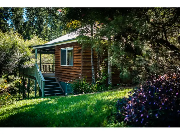 Seventh view of Homely rural property listing, 1600 Bowraville Road, Bellingen NSW 2454