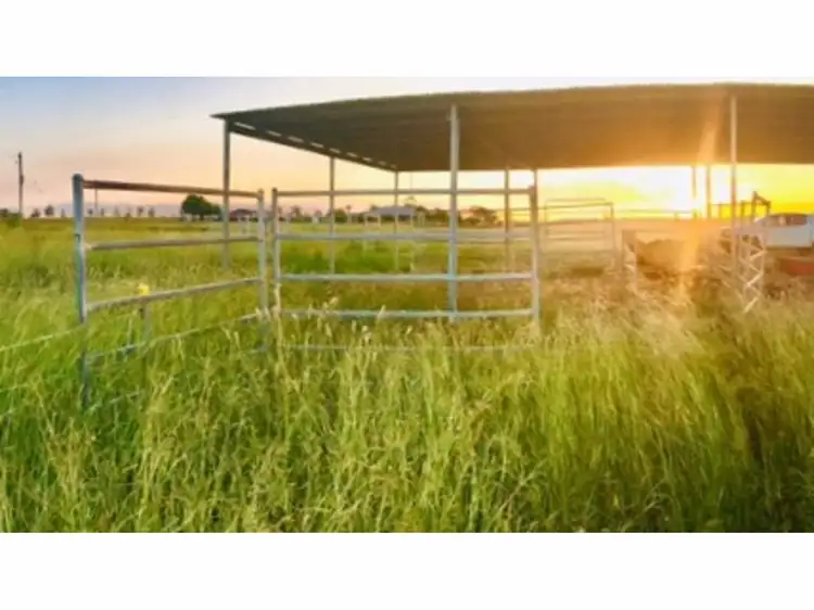 Second view of Homely rural property listing, 165 Pandora Road, Alton Downs QLD 4702