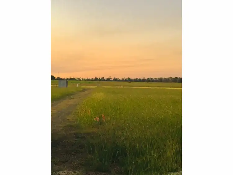 Fourth view of Homely rural property listing, 165 Pandora Road, Alton Downs QLD 4702