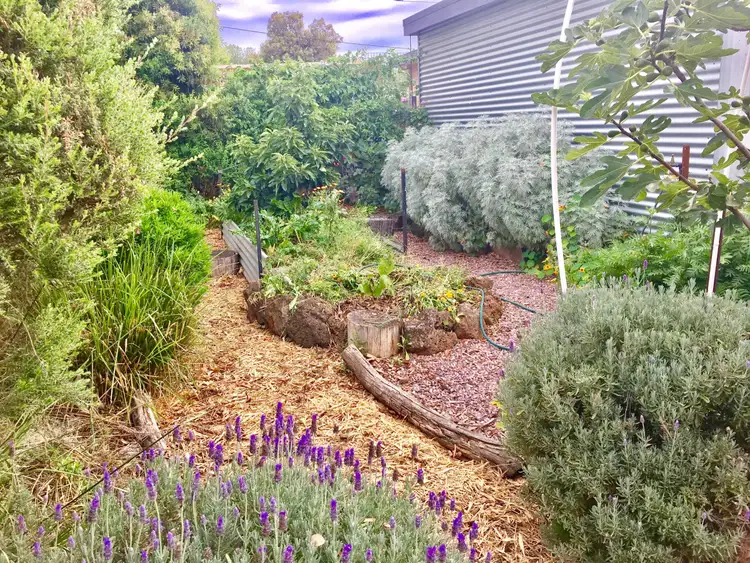 Second view of Homely house listing, 20a Fergusson Street, Camperdown VIC 3260