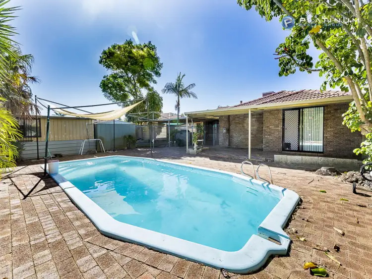 Fifth view of Homely house listing, 49 Wanjina Crescent, Wanneroo WA 6065