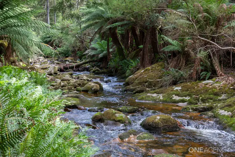 Third view of Homely house listing, 27466 Tasman Highway, Goulds Country TAS 7216