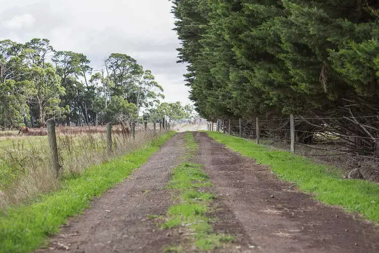 Fourth view of Homely rural property listing, 201 Neilsons Road, Ecklin South VIC 3265