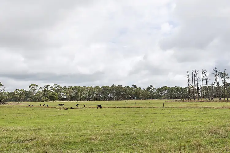 Fifth view of Homely rural property listing, 201 Neilsons Road, Ecklin South VIC 3265
