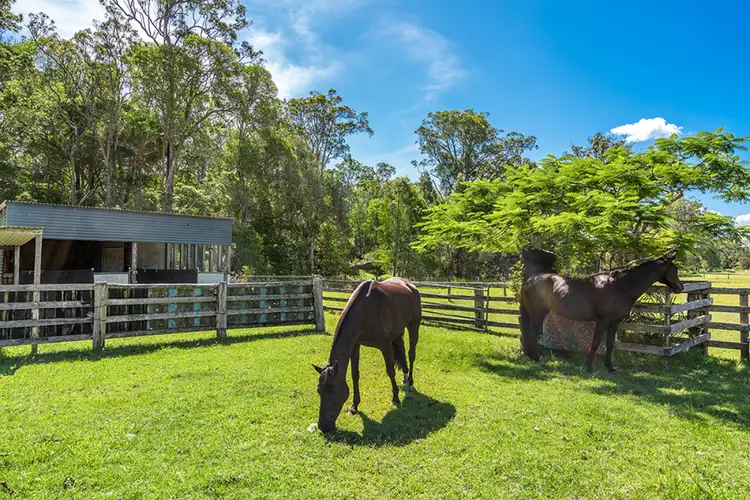 Fifth view of Homely rural property listing, 420 Woodburn Evans Head Road, Doonbah NSW 2473