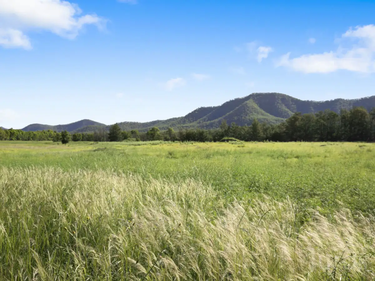 Main view of Homely rural property listing, 132 Wollombi Road, Broke NSW 2330