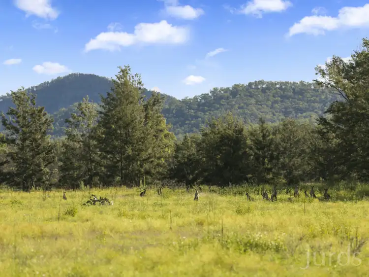 Fifth view of Homely rural property listing, 132 Wollombi Road, Broke NSW 2330