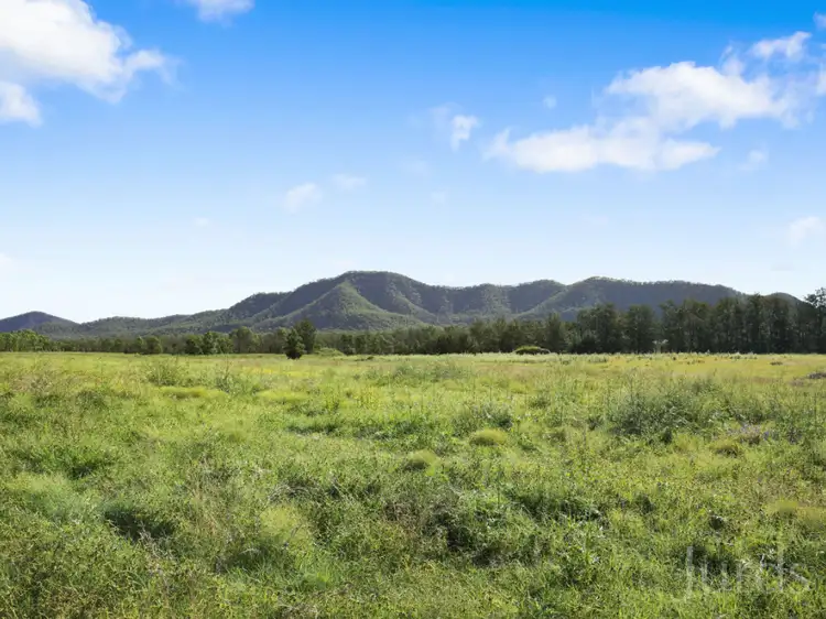 Sixth view of Homely rural property listing, 132 Wollombi Road, Broke NSW 2330
