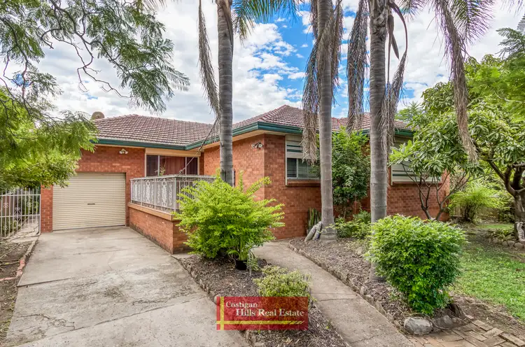 Main view of Homely house listing, 117 Blacktown Road, Seven Hills NSW 2147