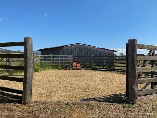 Third view of Homely land listing, Lot 321 Bunnan Road, Scone NSW 2337