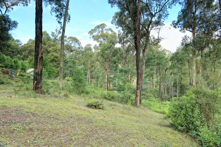 37 Mountain Road, Cockatoo VIC 3781