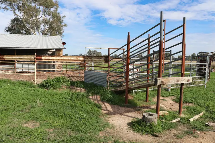 Seventh view of Homely rural property listing, Diffeys Lane, Docker VIC 3678
