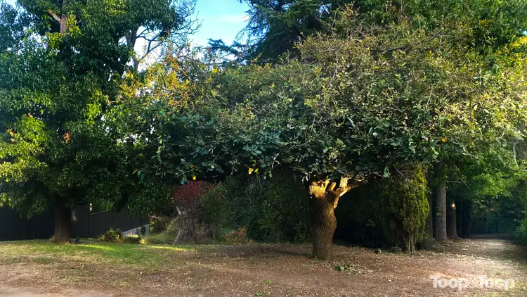 Third view of Homely land listing, 62 Old Mount Barker Road, Stirling SA 5152