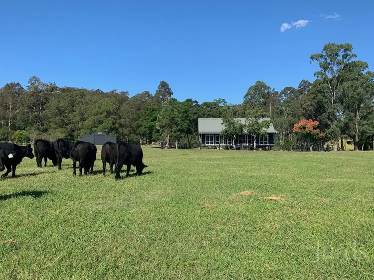 Main view of Homely rural property listing, 1405 Mount View Road, Mount View NSW 2325