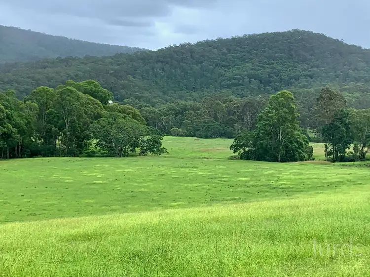 Fourth view of Homely rural property listing, 1405 Mount View Road, Mount View NSW 2325