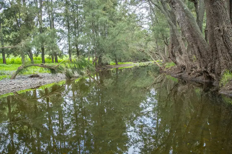 Fourth view of Homely rural property listing, 1054 Bunnan Road, Scone NSW 2337