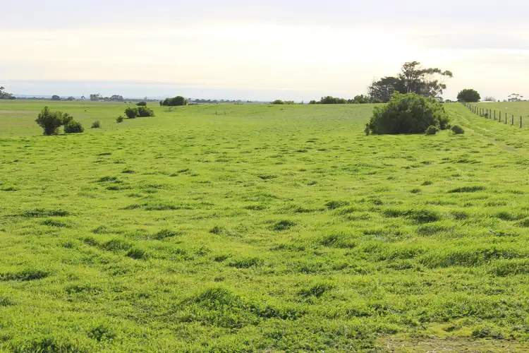 Second view of Homely rural property listing, 135 McMasters Road, Eurack VIC 3251
