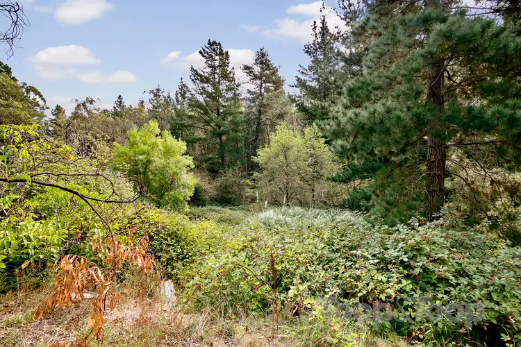 Second view of Homely house listing, 123 Ilunga Drive, Scott Creek SA 5153