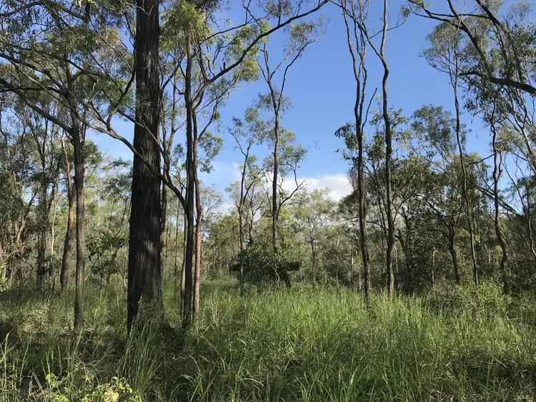 Seventh view of Homely rural property listing, 710 Upper Ulam Road, Bajool QLD 4699