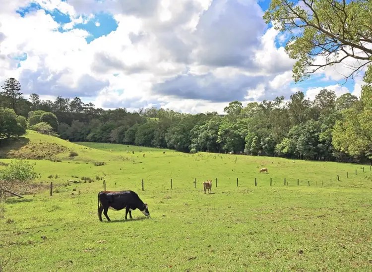 394 Cedar Creek Road, Cedar Creek QLD 4520