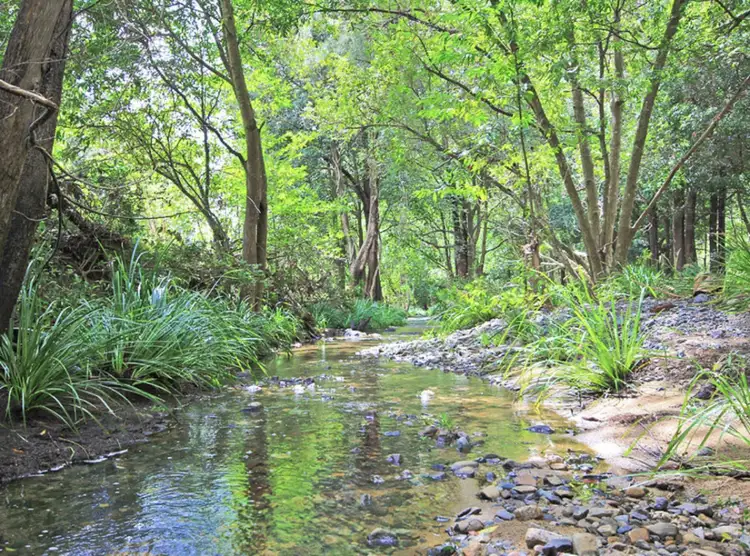 Second view of Homely house listing, 394 Cedar Creek Road, Cedar Creek QLD 4520