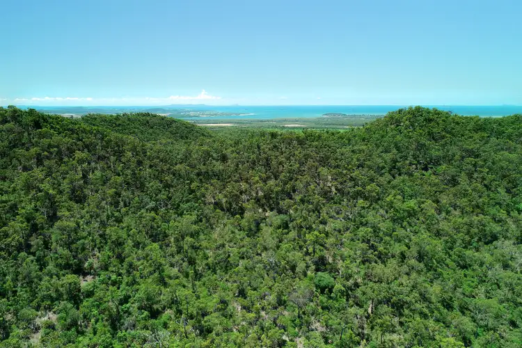 Main view of Homely rural property listing, 63 Tranquil Valley Road, Tungamull QLD 4702
